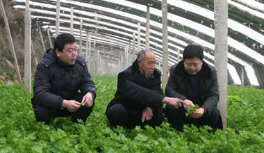 基層農(nóng)技推廣服務(wù)體系建設(shè)項(xiàng)目解決方案