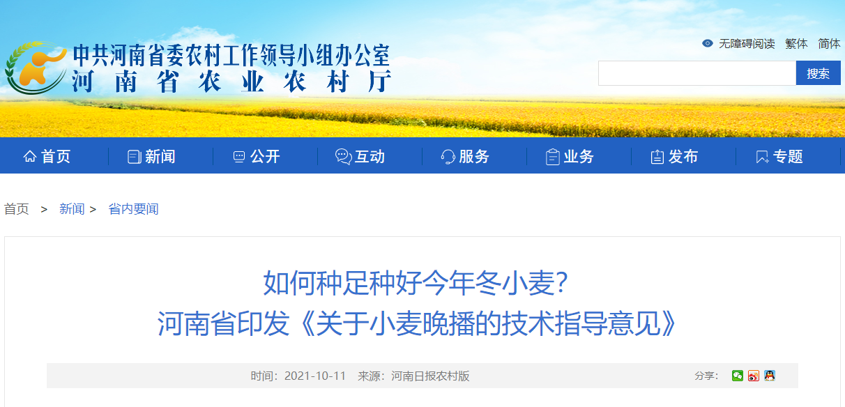 如何種足種好今年冬小麥？ 河南省印發(fā)《關(guān)于小麥晚播的技術(shù)指導(dǎo)意見》