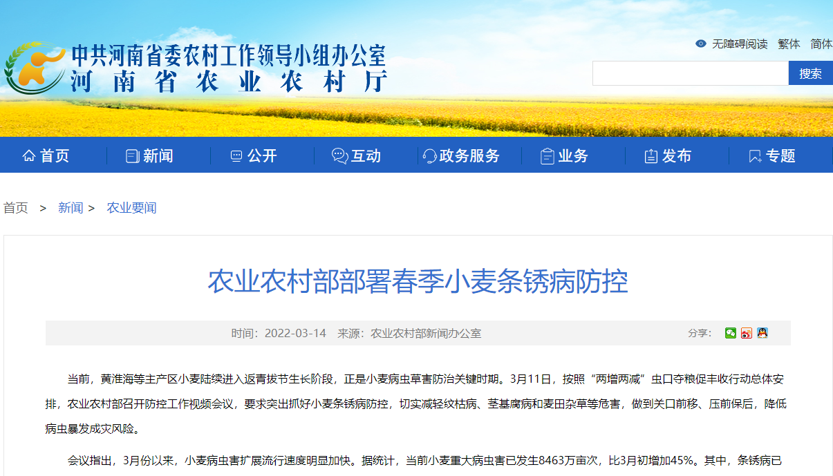農業(yè)農村部部署春季小麥條銹病防控