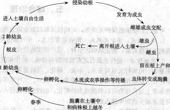 大豆胞囊線蟲(chóng)病的病害循環(huán)