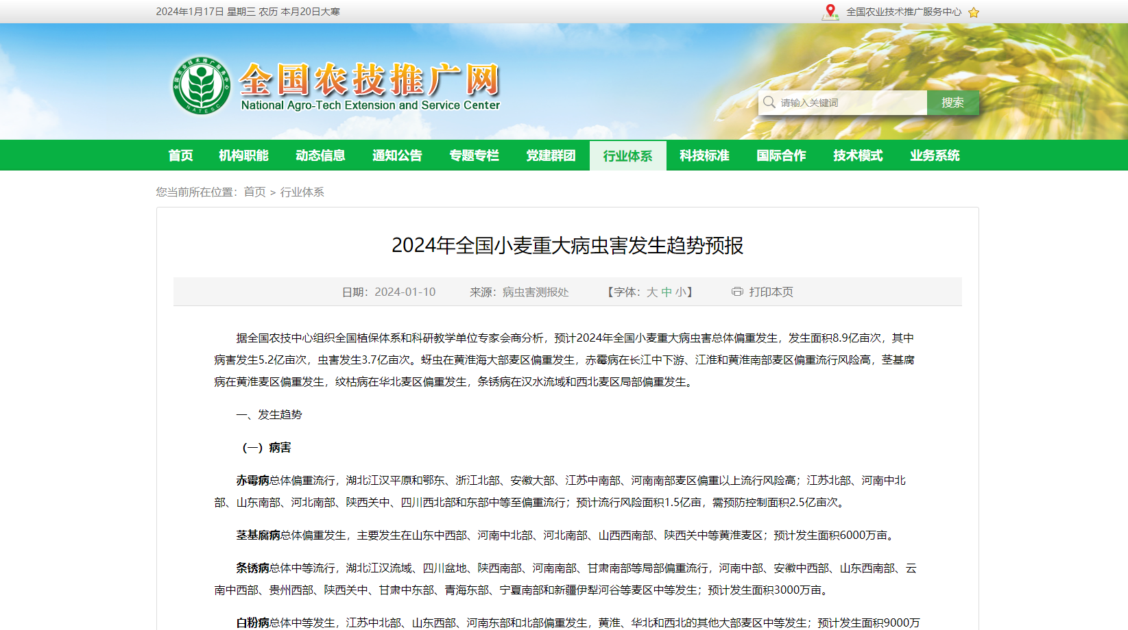2024年全國小麥重大病蟲害發(fā)生趨勢預報