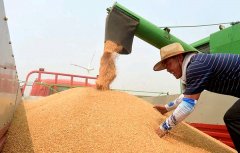 關(guān)系14億人的飯碗，定了這些大事！