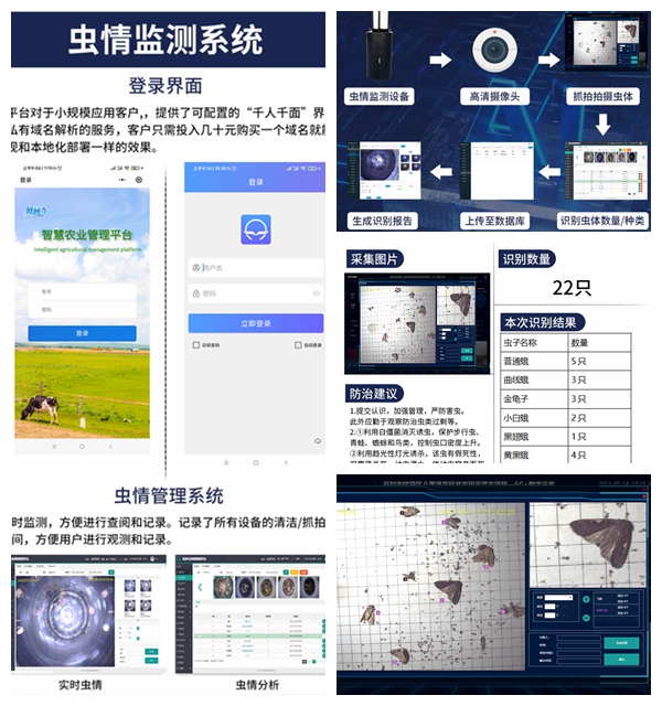 光影魔術(shù)手拼圖.jpg