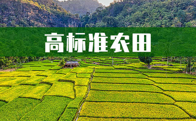 高標(biāo)準(zhǔn).png