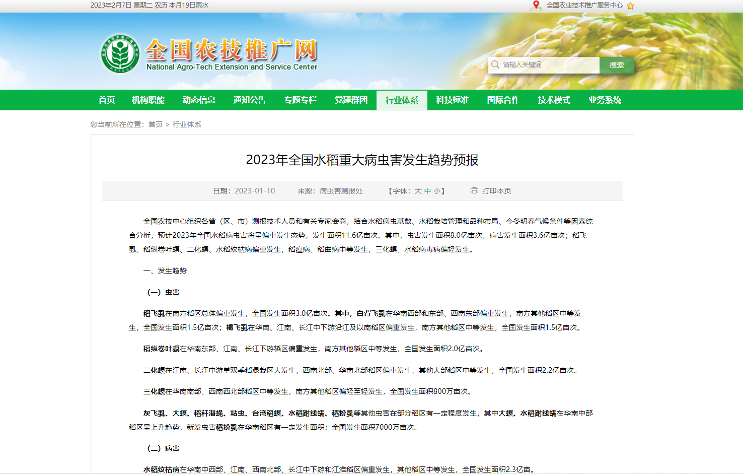 2023年全國(guó)水稻重大病蟲(chóng)害發(fā)生趨勢(shì)預(yù)報(bào)