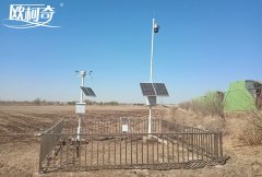沈陽引進歐柯奇智慧監(jiān)測設備指導農業(yè)生產