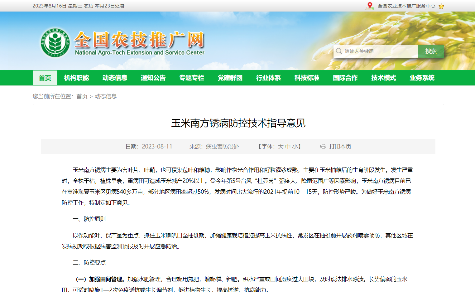 玉米南方銹病防控技術指導意見