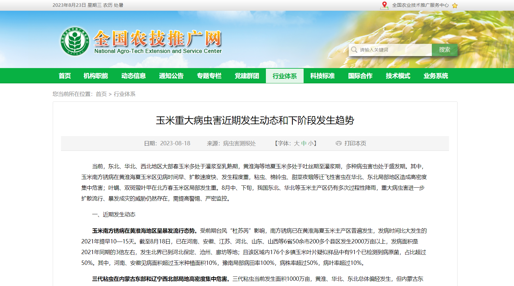 玉米重大病蟲害近期發(fā)生動態(tài)和下階段發(fā)生趨勢