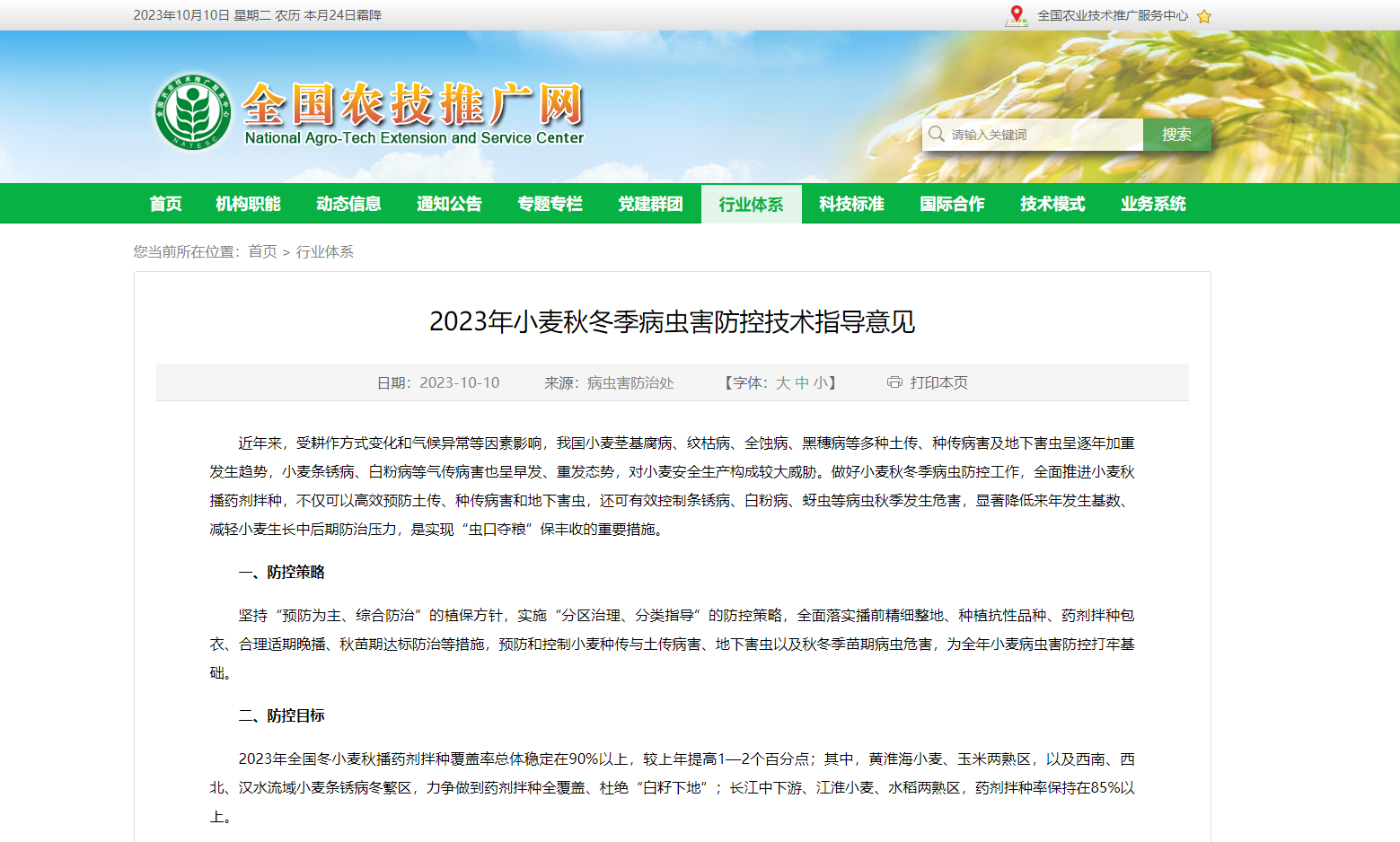 2023年小麥秋冬季病蟲害防控技術指導意見