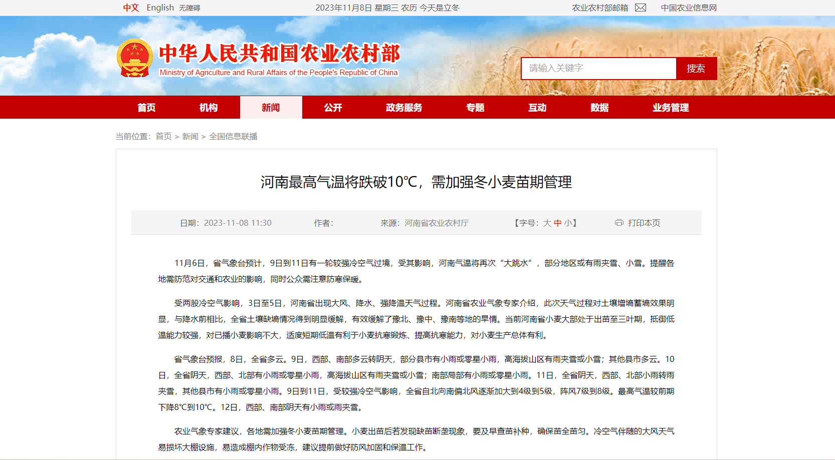 河南最高氣溫將跌破10℃，需加強冬小麥苗期管理