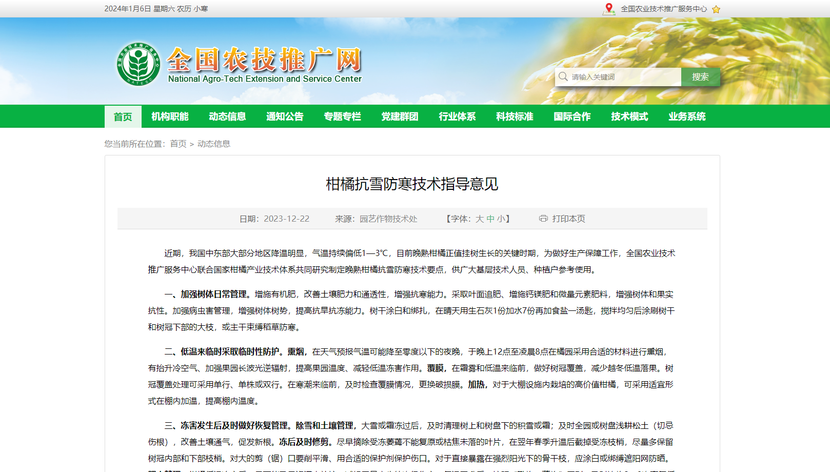 柑橘抗雪防寒技術指導意見