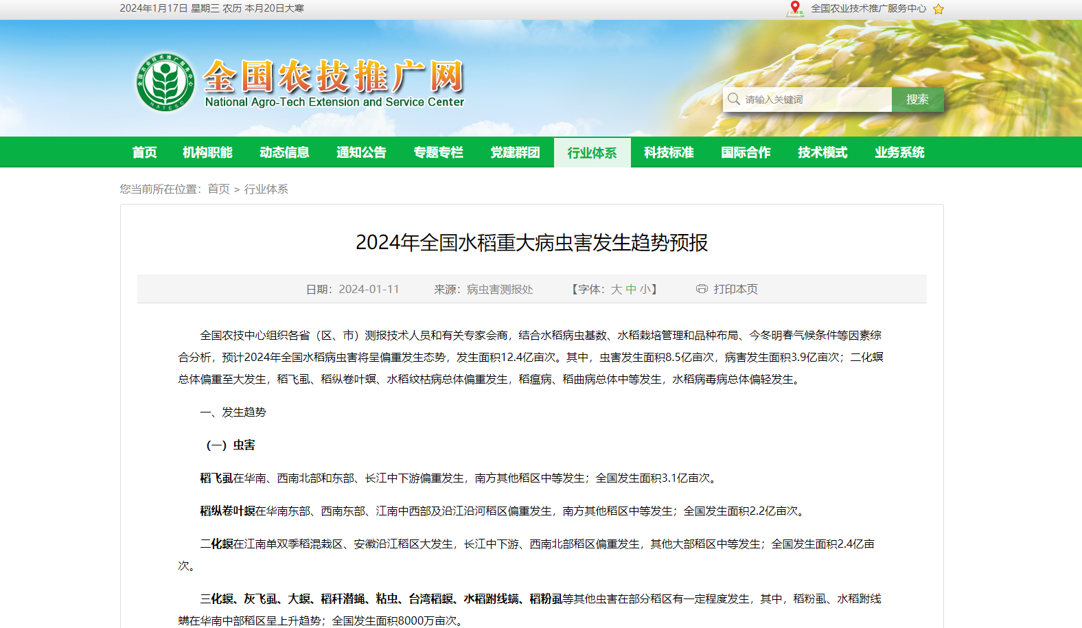 2024年全國水稻重大病蟲害發(fā)生趨勢預報