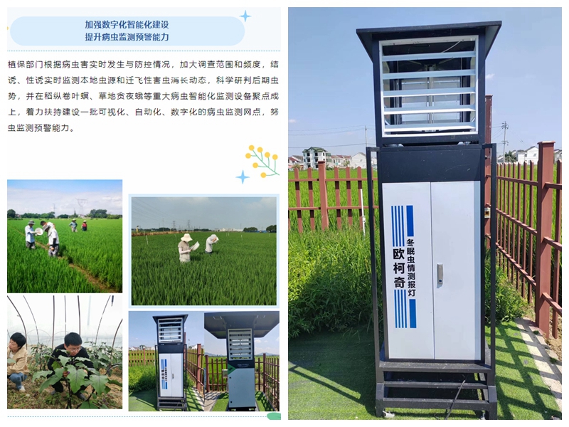 “蟲(chóng)口奪糧”保豐收，歐柯奇設(shè)備助力無(wú)錫植保工作